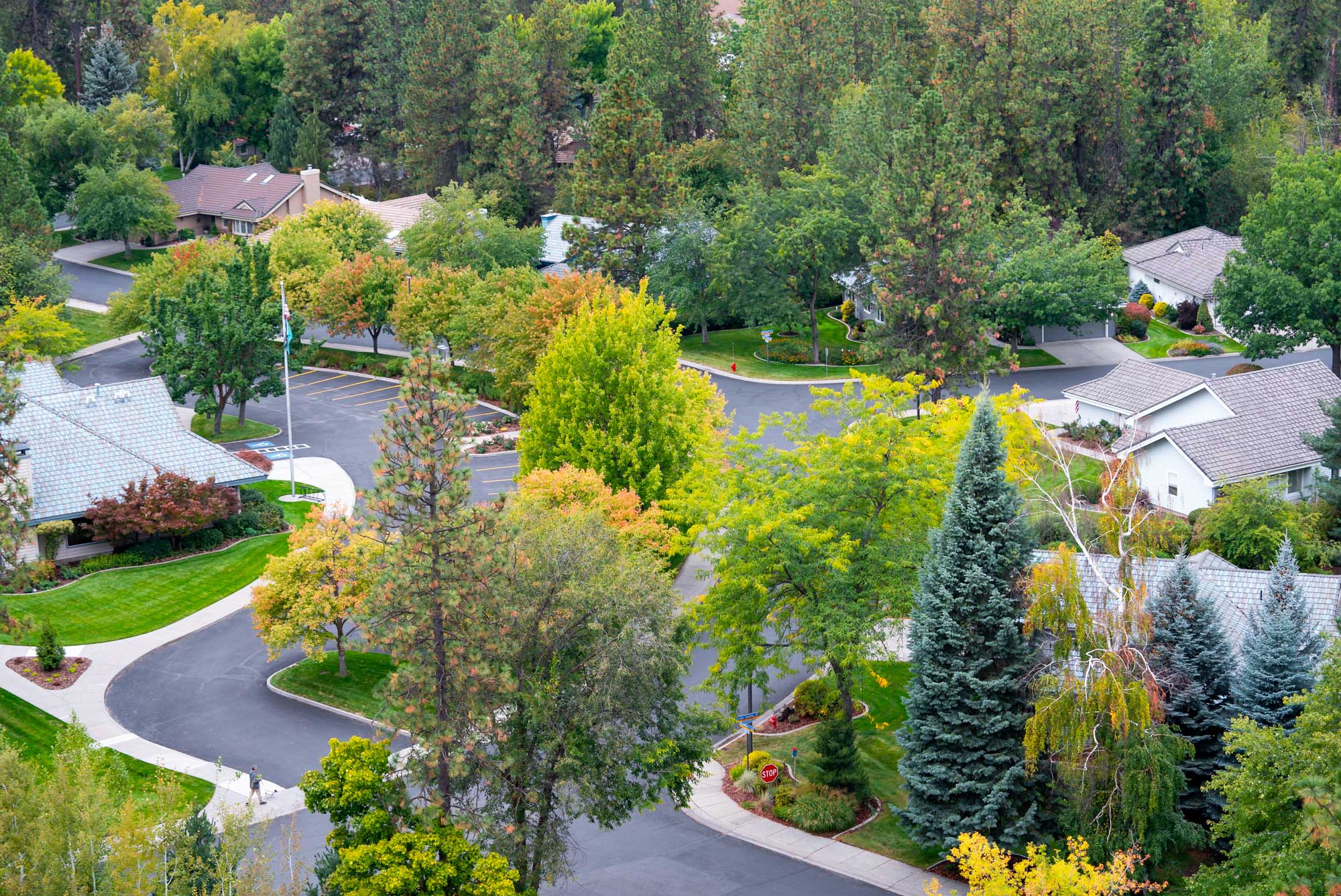 bird's eye view of homes