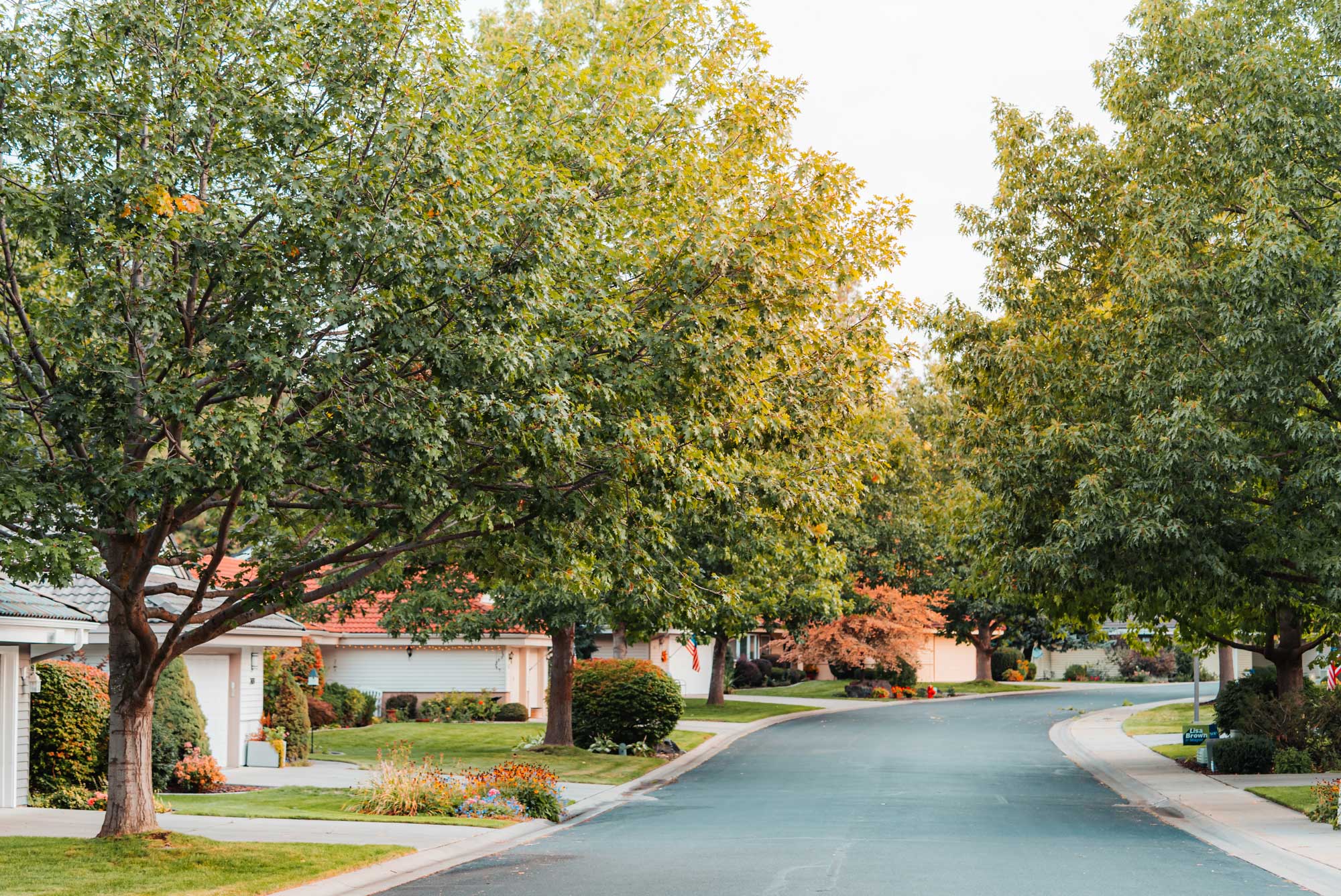 community street